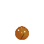Capture animation
