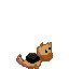 Capture animation